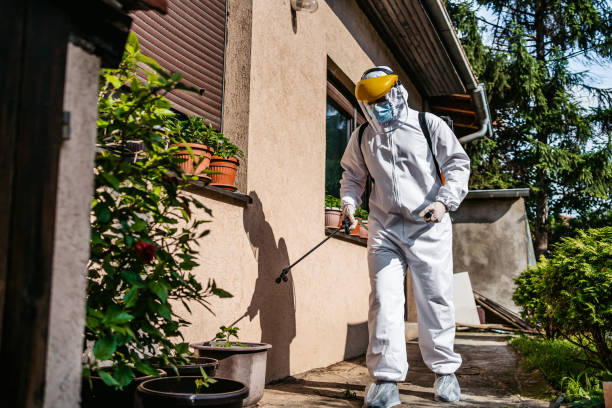 Best Affordable Pest Control Services  in Lawton, OK