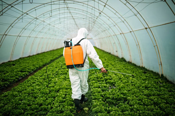 Best Pest Prevention Services  in Lawton, OK