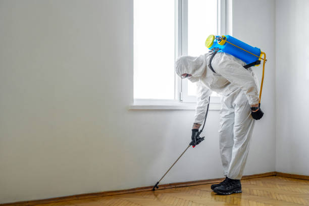 Best Emergency Pest Control  in Lawton, OK
