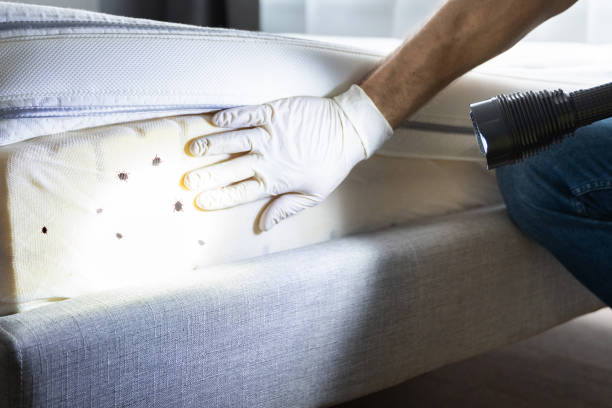 Best Pest Inspection Near Me  in Lawton, OK