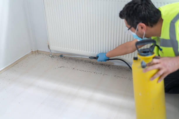 Professional Pest Control in Lawton, OK