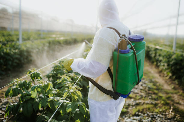 Best Local Pest Control Services  in Lawton, OK